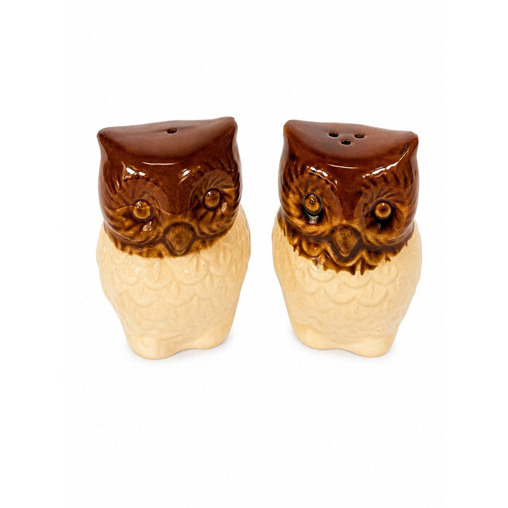 Pottery Owl Salt & Pepper Shakers  Brown Glaze Vintage Kitchenware Retro Collectible