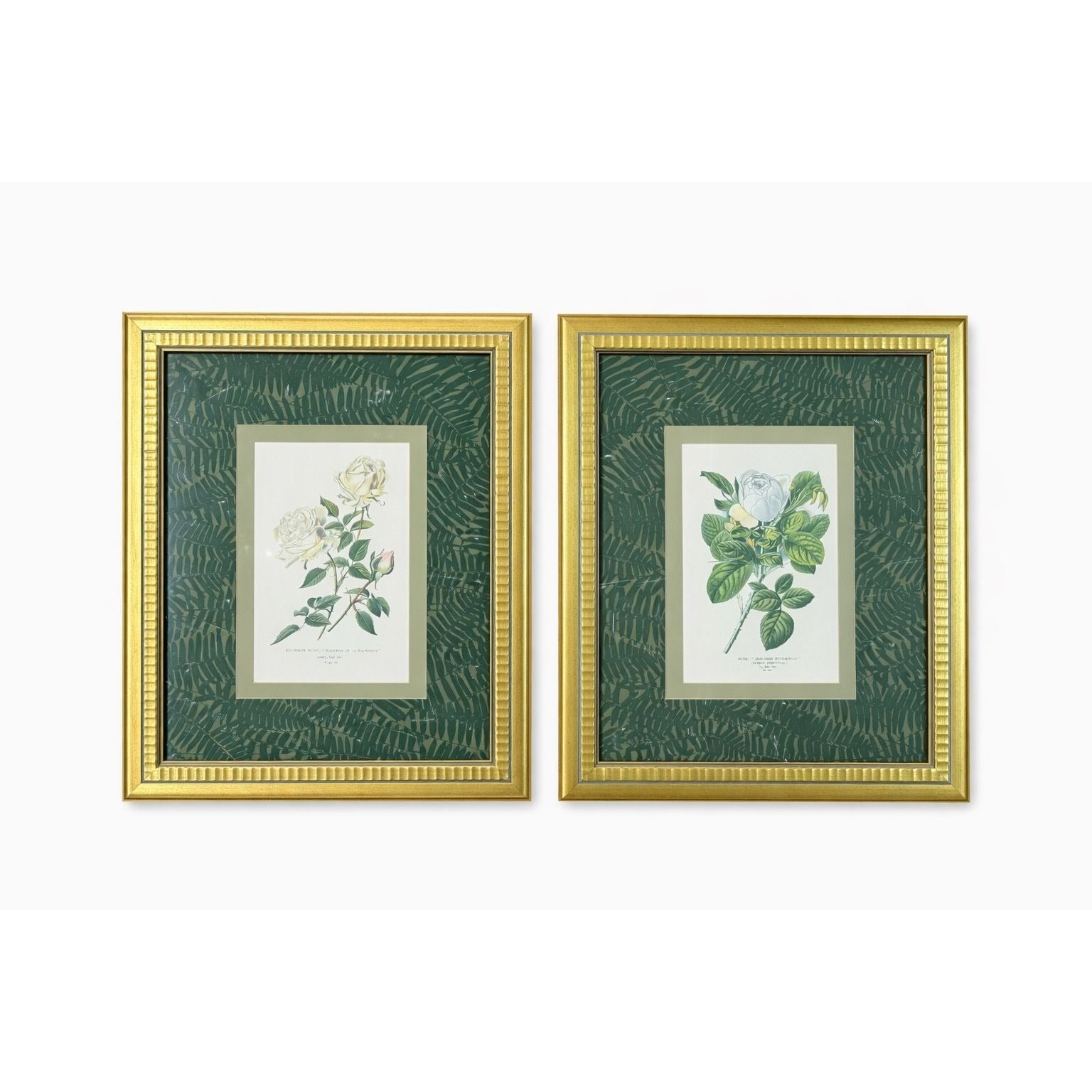 Pair French Botanical Prints Roses Framed Double Mat Wall Decor Fern Matting Gold Frame Grand Millennial Style Art Dining Living Bedroom