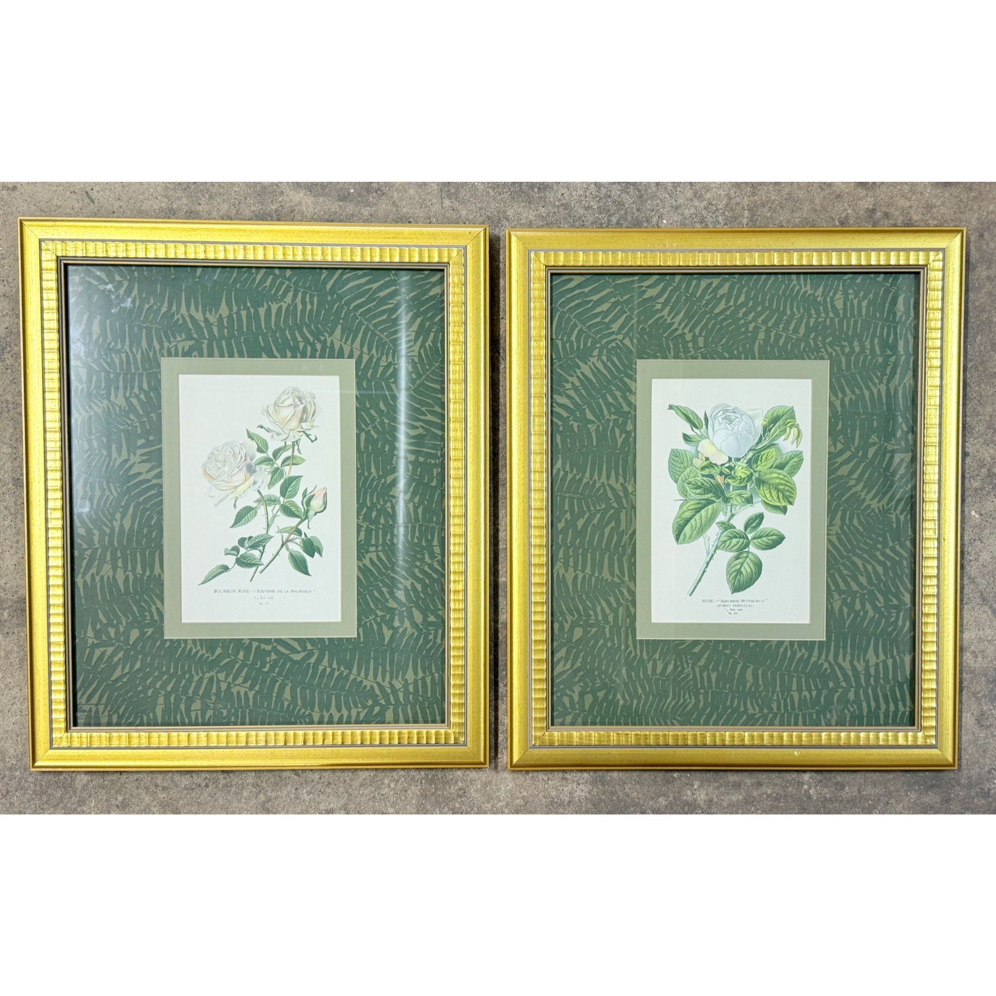 Pair French Botanical Prints Roses Framed Double Mat Wall Decor Fern Matting Gold Frame Grand Millennial Style Art Dining Living Bedroom