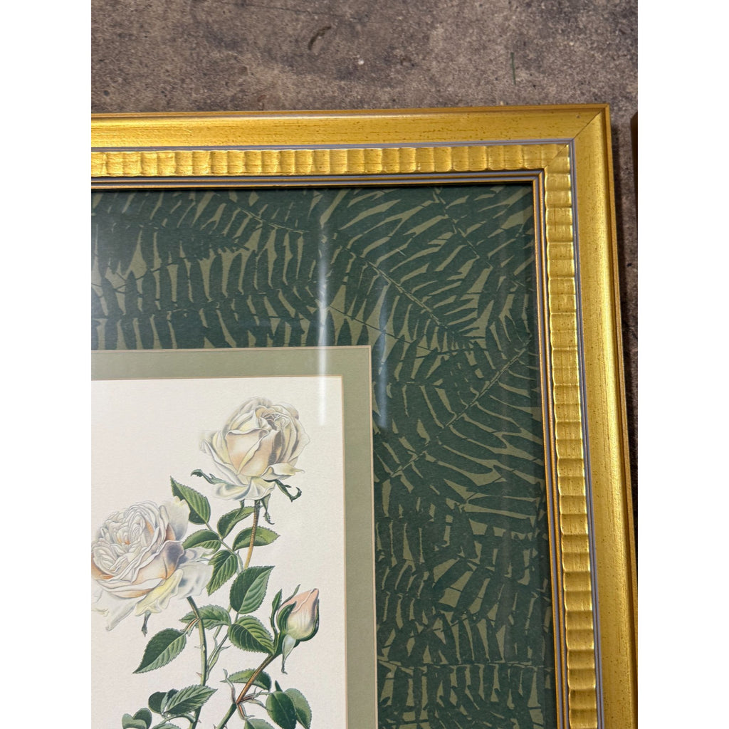 Pair French Botanical Prints Roses Framed Double Mat Wall Decor Fern Matting Gold Frame Grand Millennial Style Art Dining Living Bedroom