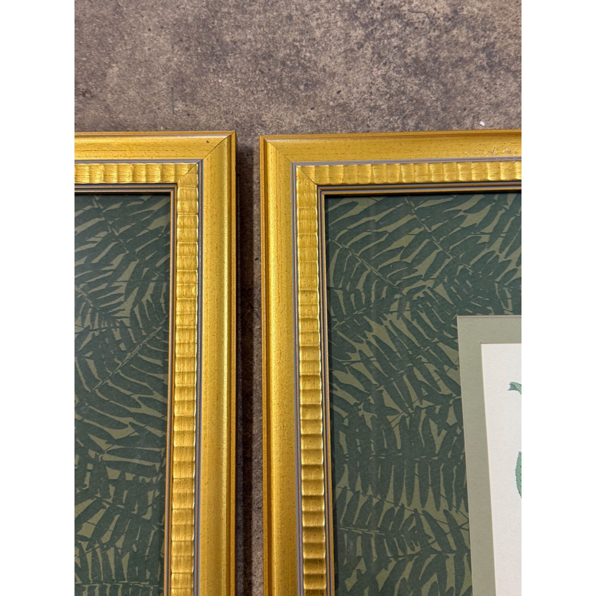 Pair French Botanical Prints Roses Framed Double Mat Wall Decor Fern Matting Gold Frame Grand Millennial Style Art Dining Living Bedroom