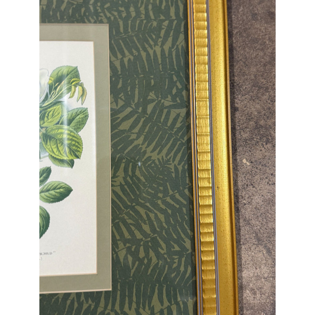 Pair French Botanical Prints Roses Framed Double Mat Wall Decor Fern Matting Gold Frame Grand Millennial Style Art Dining Living Bedroom