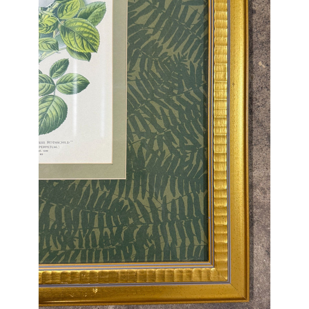 Pair French Botanical Prints Roses Framed Double Mat Wall Decor Fern Matting Gold Frame Grand Millennial Style Art Dining Living Bedroom