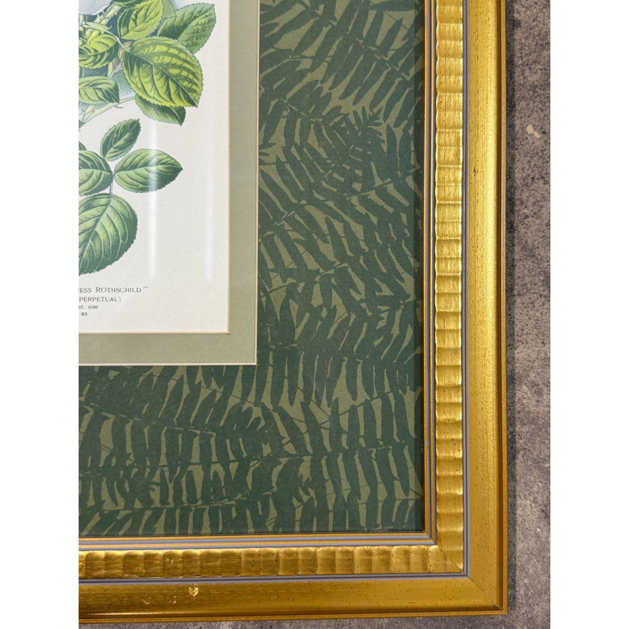Pair French Botanical Prints Roses Framed Double Mat Wall Decor Fern Matting Gold Frame Grand Millennial Style Art Dining Living Bedroom