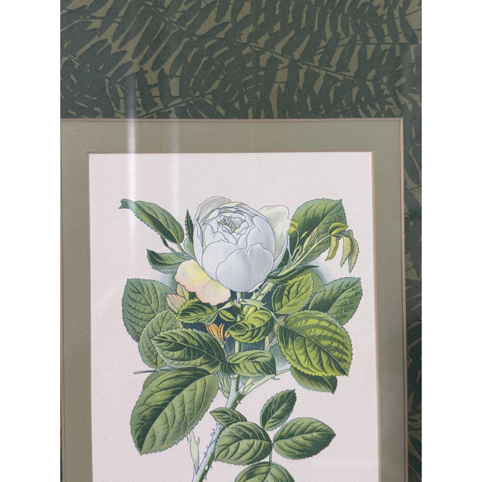 Pair French Botanical Prints Roses Framed Double Mat Wall Decor Fern Matting Gold Frame Grand Millennial Style Art Dining Living Bedroom