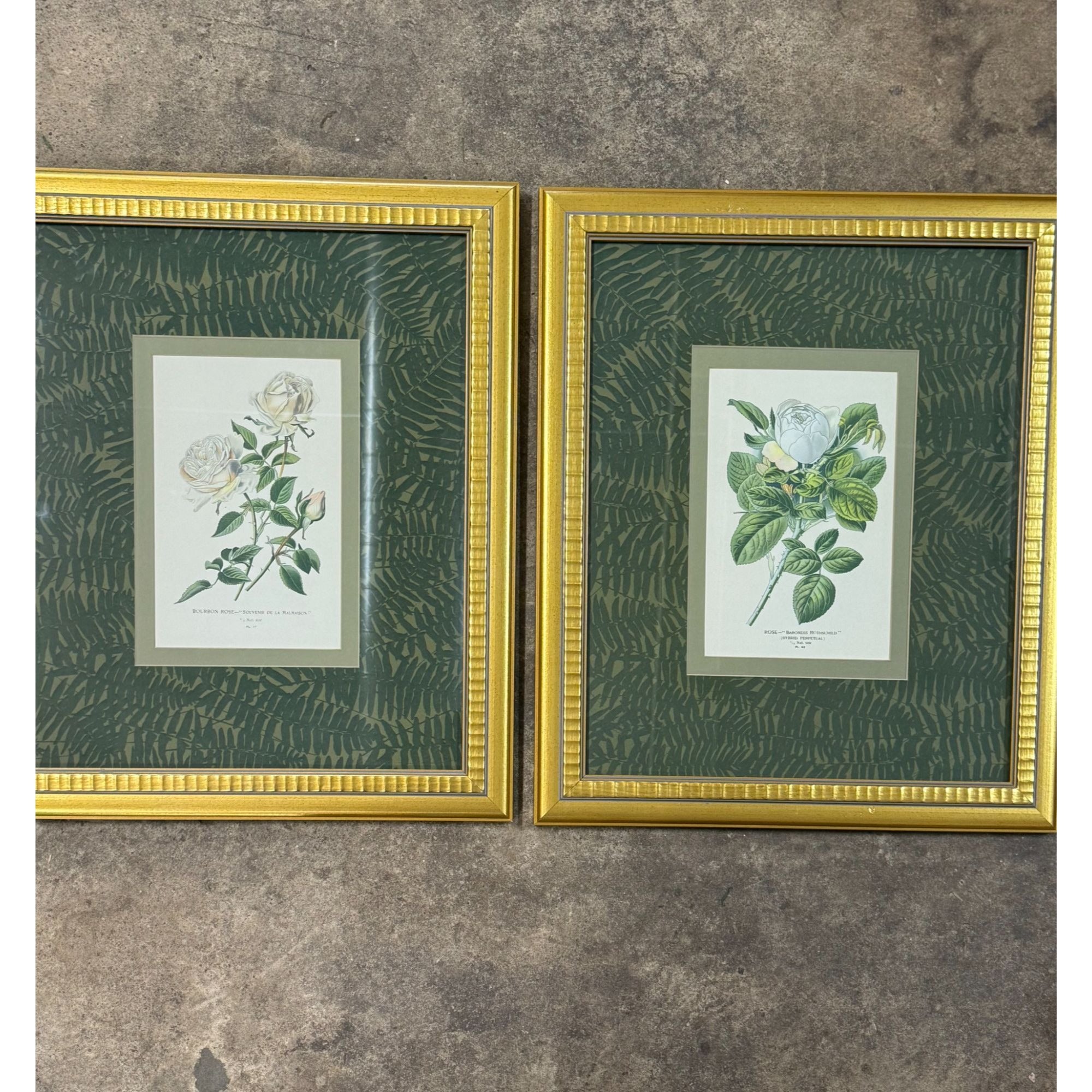 Pair French Botanical Prints Roses Framed Double Mat Wall Decor Fern Matting Gold Frame Grand Millennial Style Art Dining Living Bedroom