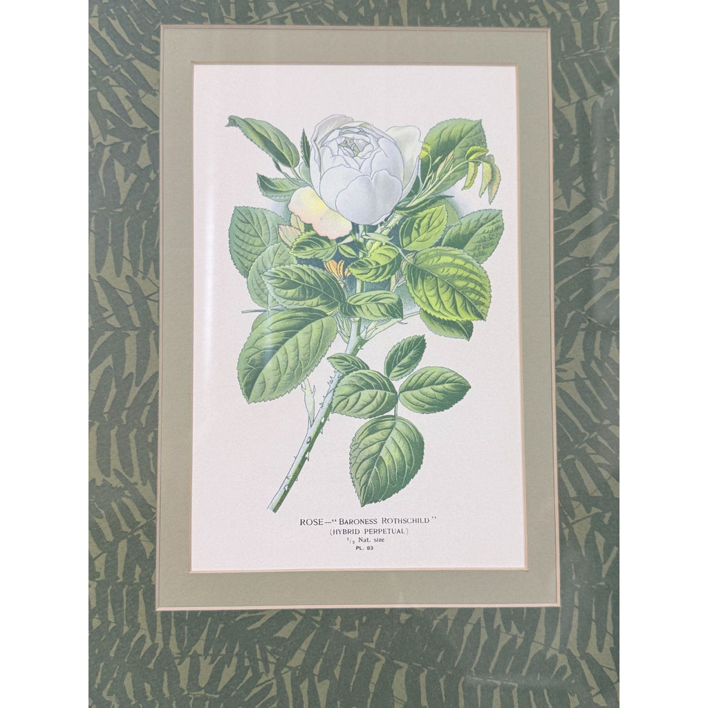 Pair French Botanical Prints Roses Framed Double Mat Wall Decor Fern Matting Gold Frame Grand Millennial Style Art Dining Living Bedroom