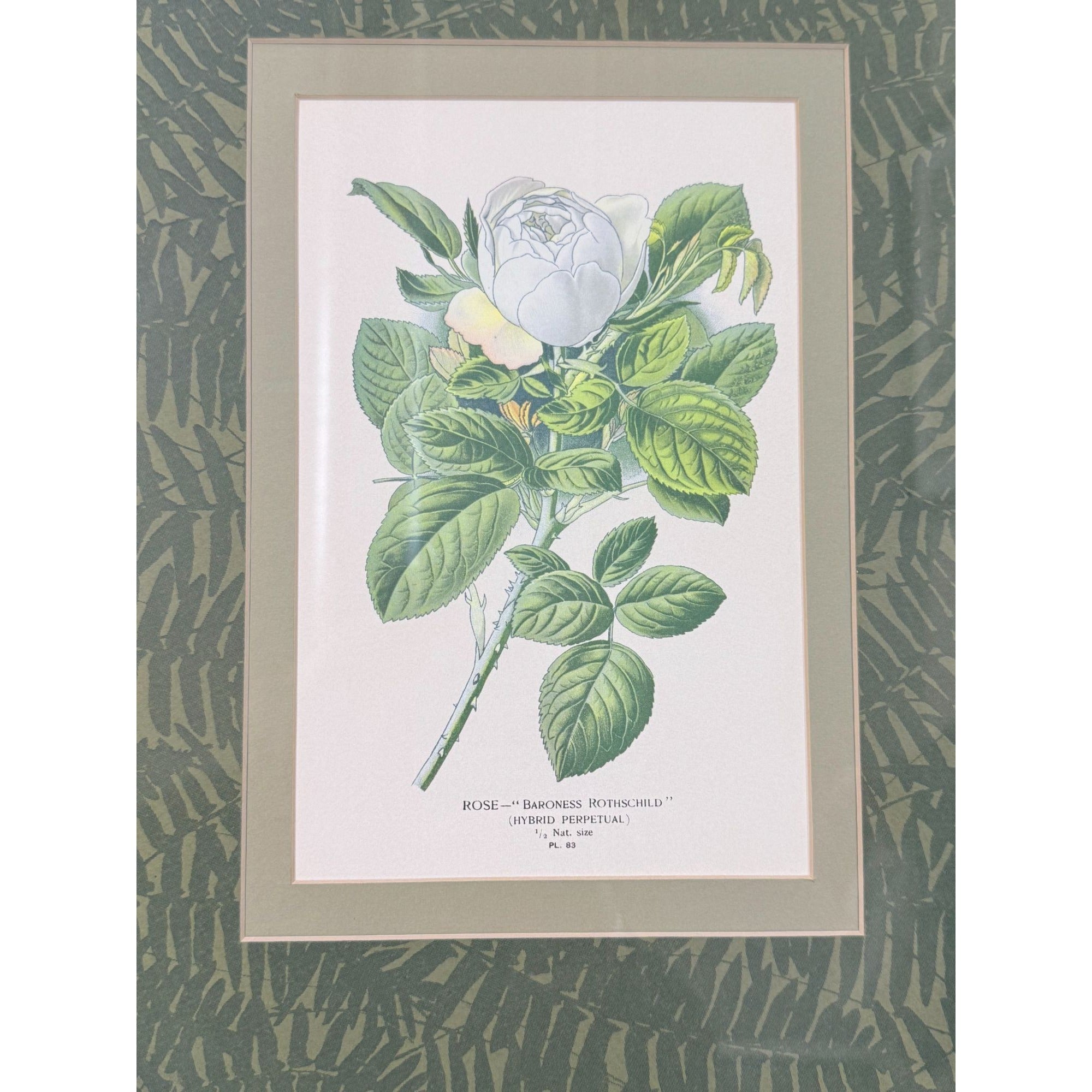Pair French Botanical Prints Roses Framed Double Mat Wall Decor Fern Matting Gold Frame Grand Millennial Style Art Dining Living Bedroom