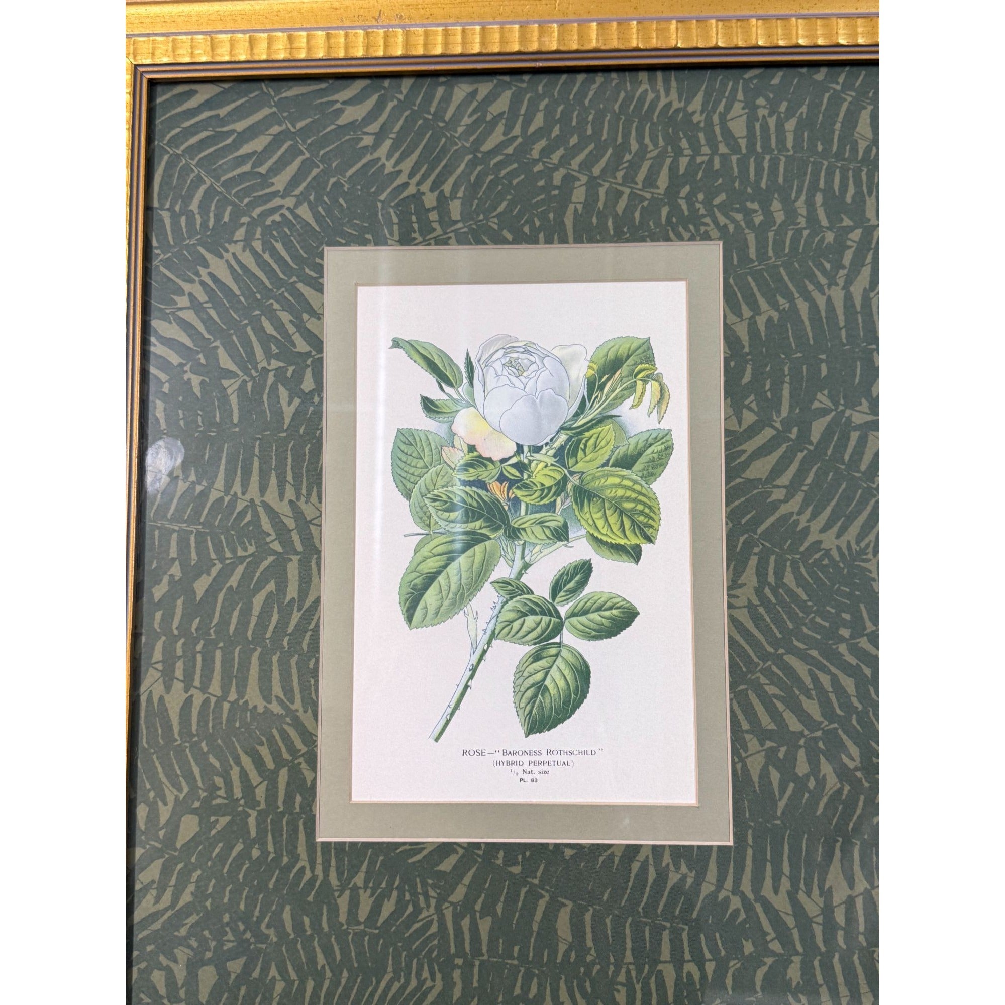 Pair French Botanical Prints Roses Framed Double Mat Wall Decor Fern Matting Gold Frame Grand Millennial Style Art Dining Living Bedroom