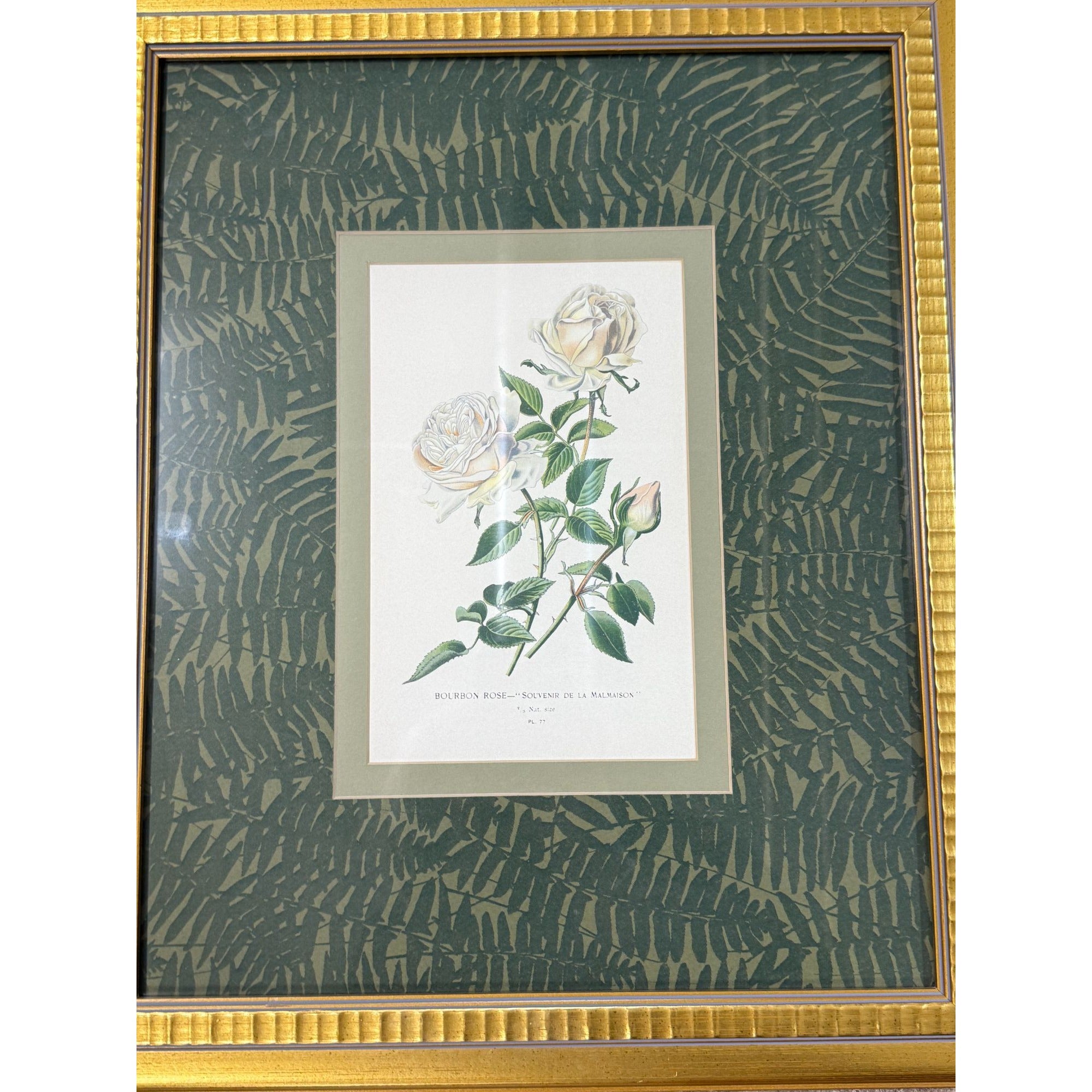 Pair French Botanical Prints Roses Framed Double Mat Wall Decor Fern Matting Gold Frame Grand Millennial Style Art Dining Living Bedroom
