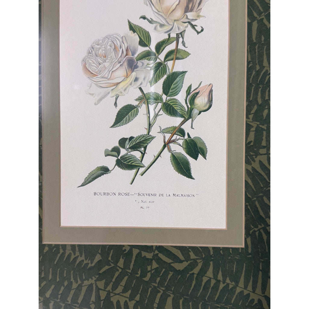Pair French Botanical Prints Roses Framed Double Mat Wall Decor Fern Matting Gold Frame Grand Millennial Style Art Dining Living Bedroom