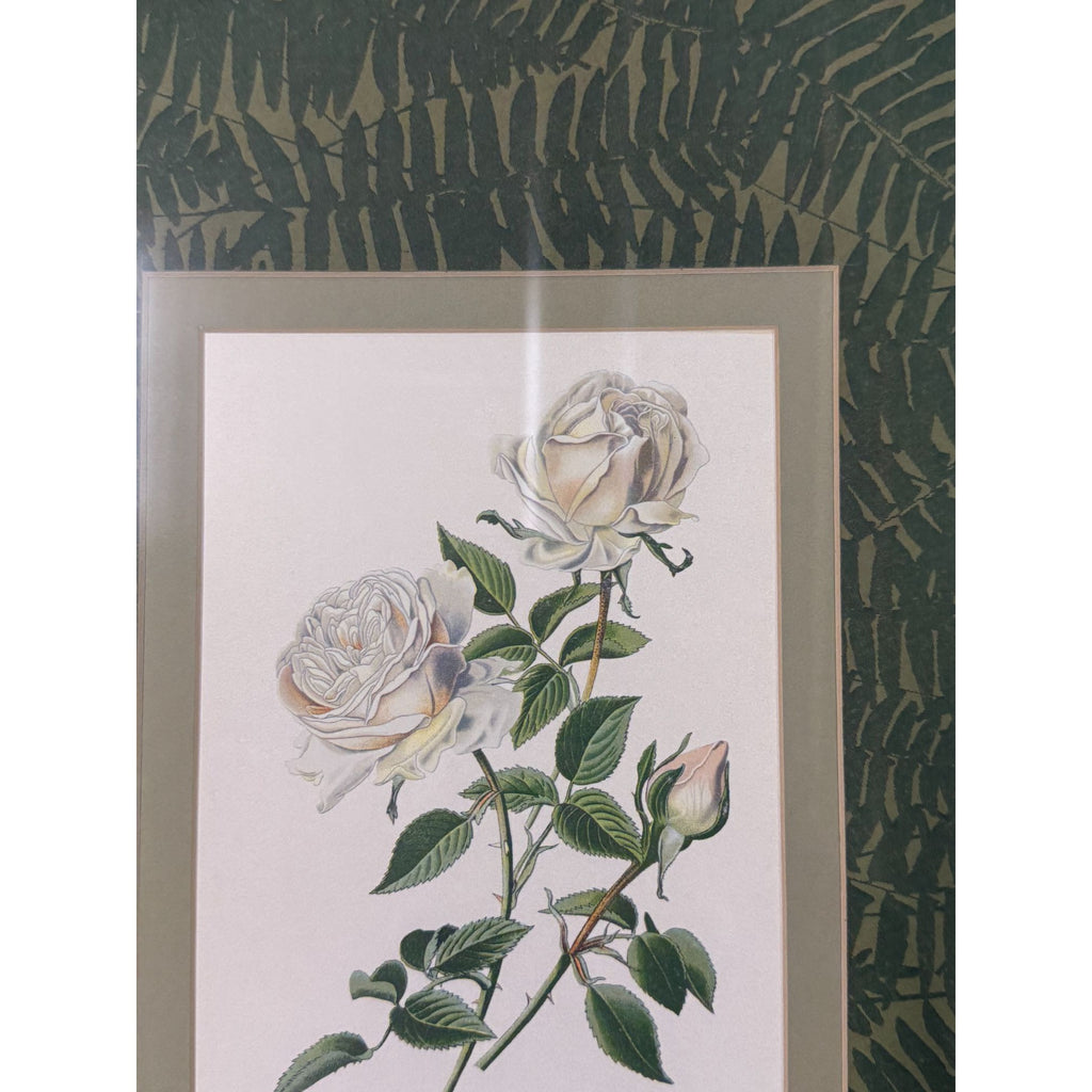 Pair French Botanical Prints Roses Framed Double Mat Wall Decor Fern Matting Gold Frame Grand Millennial Style Art Dining Living Bedroom