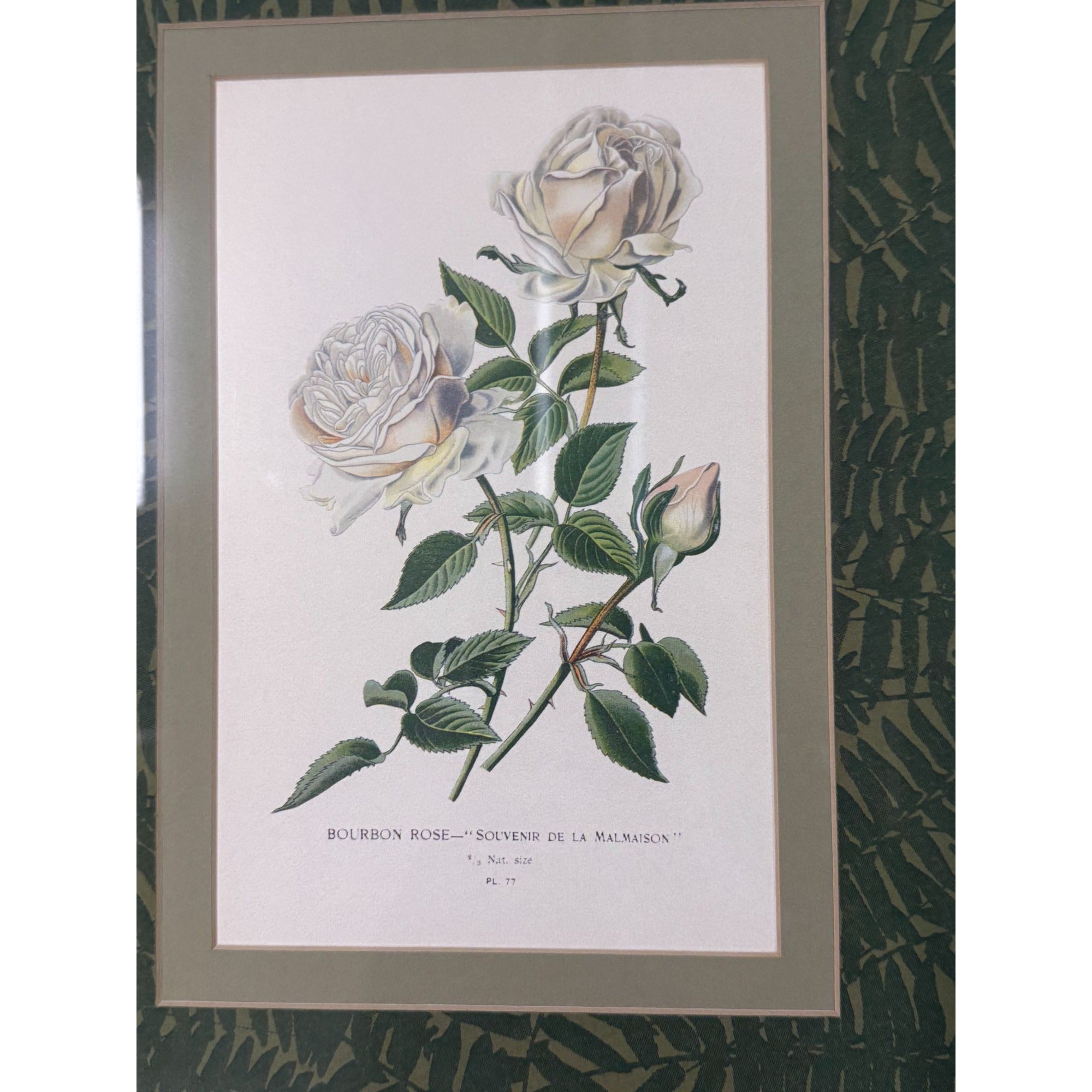 Pair French Botanical Prints Roses Framed Double Mat Wall Decor Fern Matting Gold Frame Grand Millennial Style Art Dining Living Bedroom