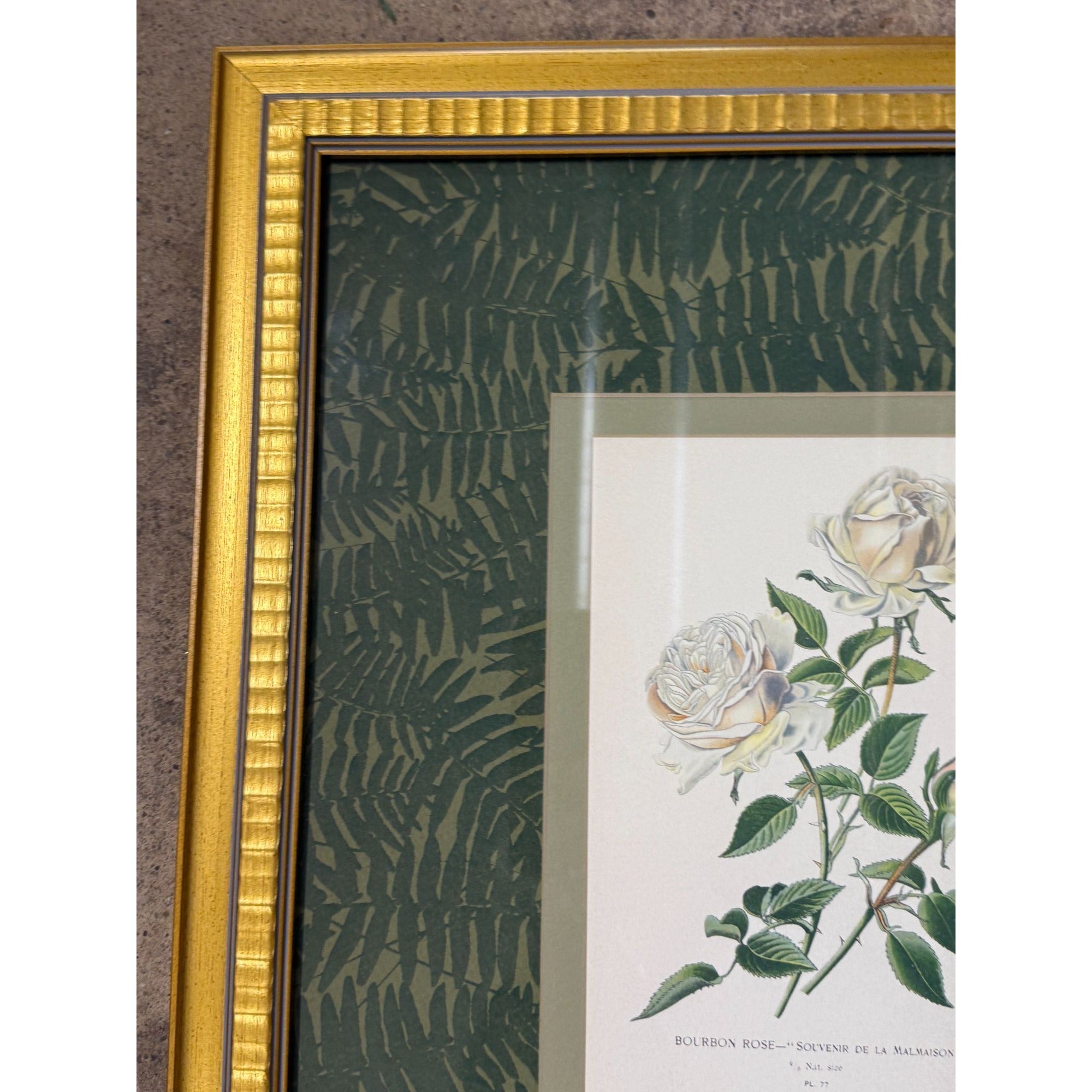 Pair French Botanical Prints Roses Framed Double Mat Wall Decor Fern Matting Gold Frame Grand Millennial Style Art Dining Living Bedroom