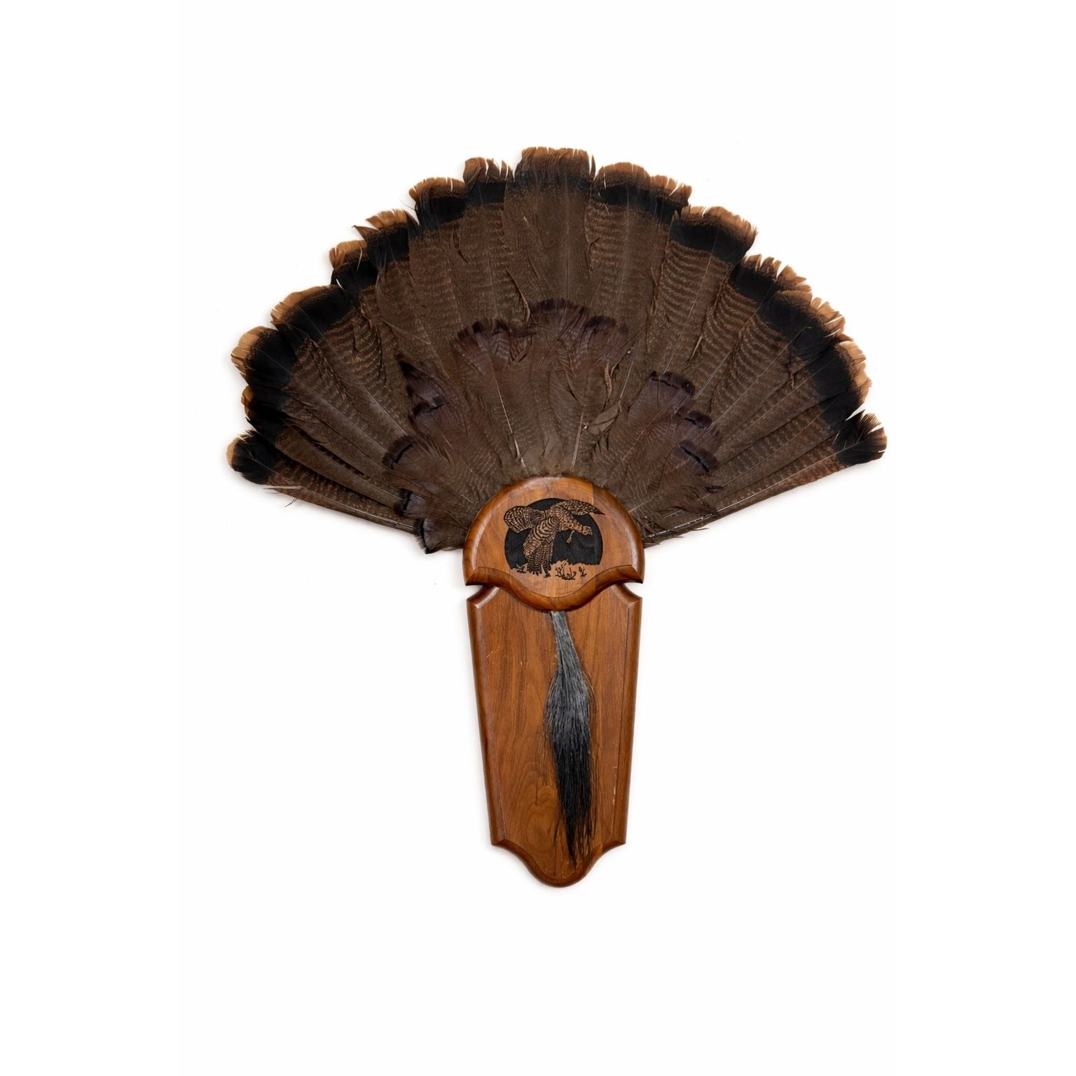 Hunting Mount Wild Turkey Hunt Trophy Tail Beard Mount 29” Wood Plaque Panel Taxidermy Trophy Fan Wooden Wall Cabin Man Cave Grandpa Core