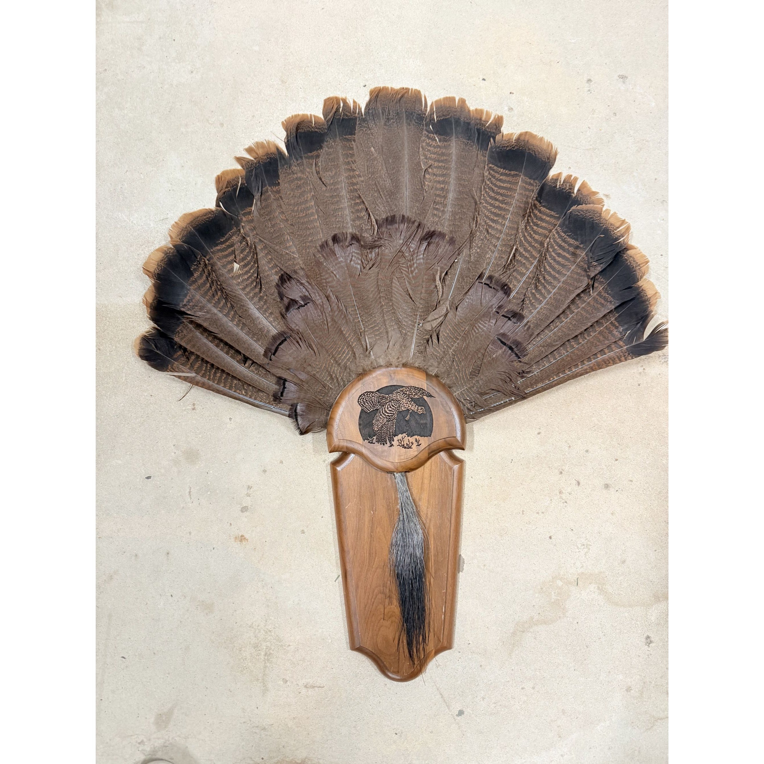 Hunting Mount Wild Turkey Hunt Trophy Tail Beard Mount 29” Wood Plaque Panel Taxidermy Trophy Fan Wooden Wall Cabin Man Cave Grandpa Core