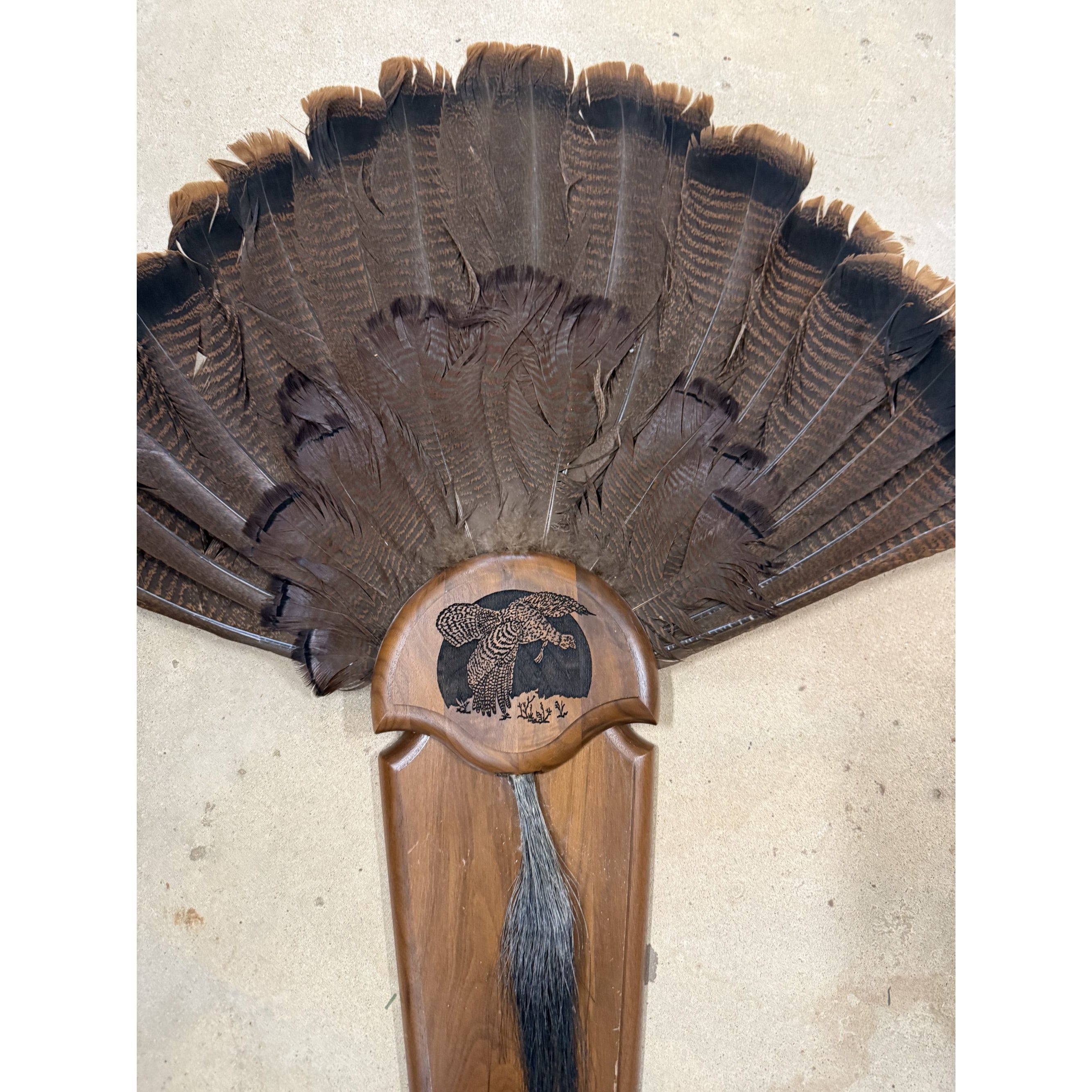 Hunting Mount Wild Turkey Hunt Trophy Tail Beard Mount 29” Wood Plaque Panel Taxidermy Trophy Fan Wooden Wall Cabin Man Cave Grandpa Core