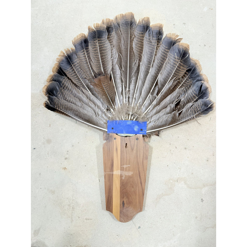 Hunting Mount Wild Turkey Hunt Trophy Tail Beard Mount 29” Wood Plaque Panel Taxidermy Trophy Fan Wooden Wall Cabin Man Cave Grandpa Core