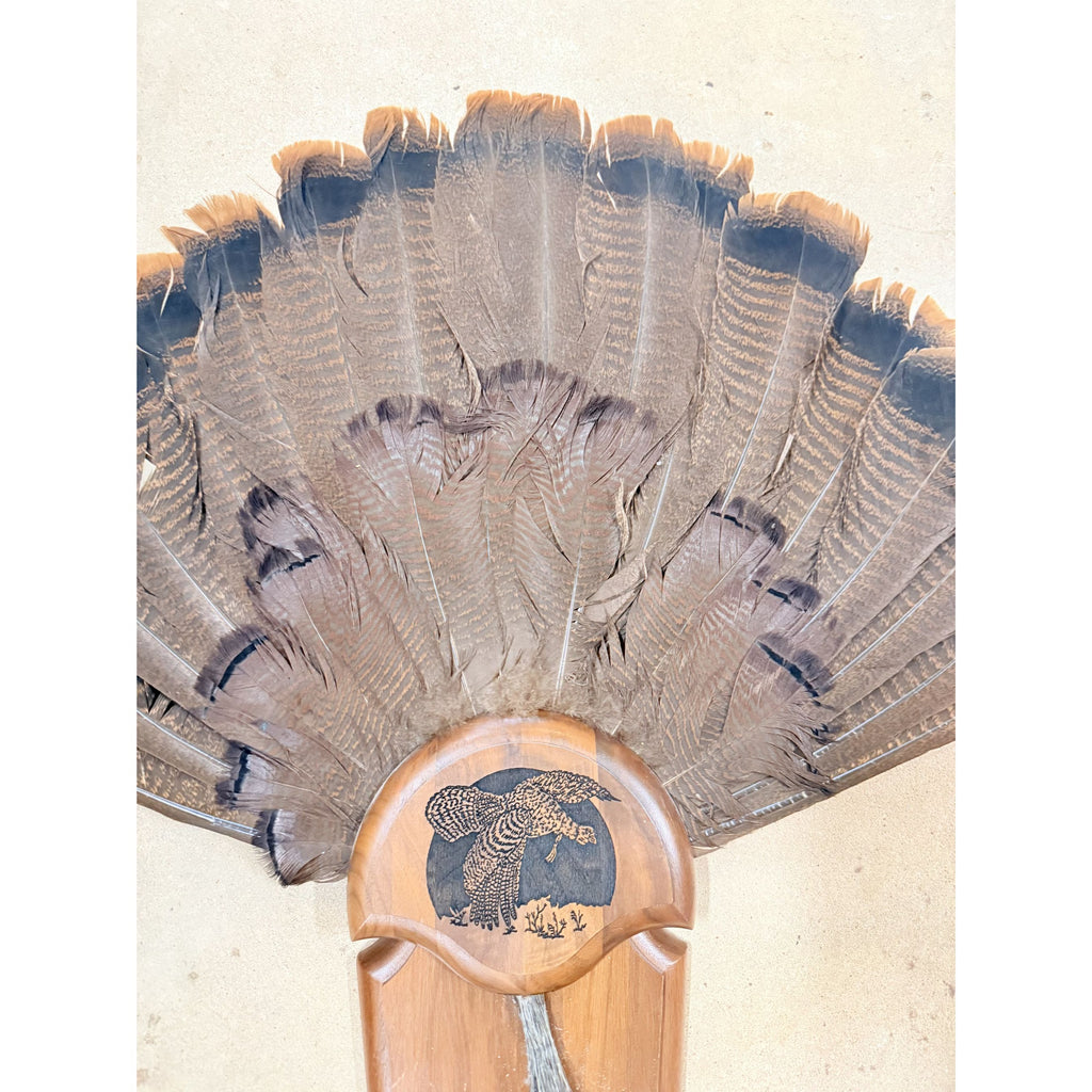 Hunting Mount Wild Turkey Hunt Trophy Tail Beard Mount 29” Wood Plaque Panel Taxidermy Trophy Fan Wooden Wall Cabin Man Cave Grandpa Core