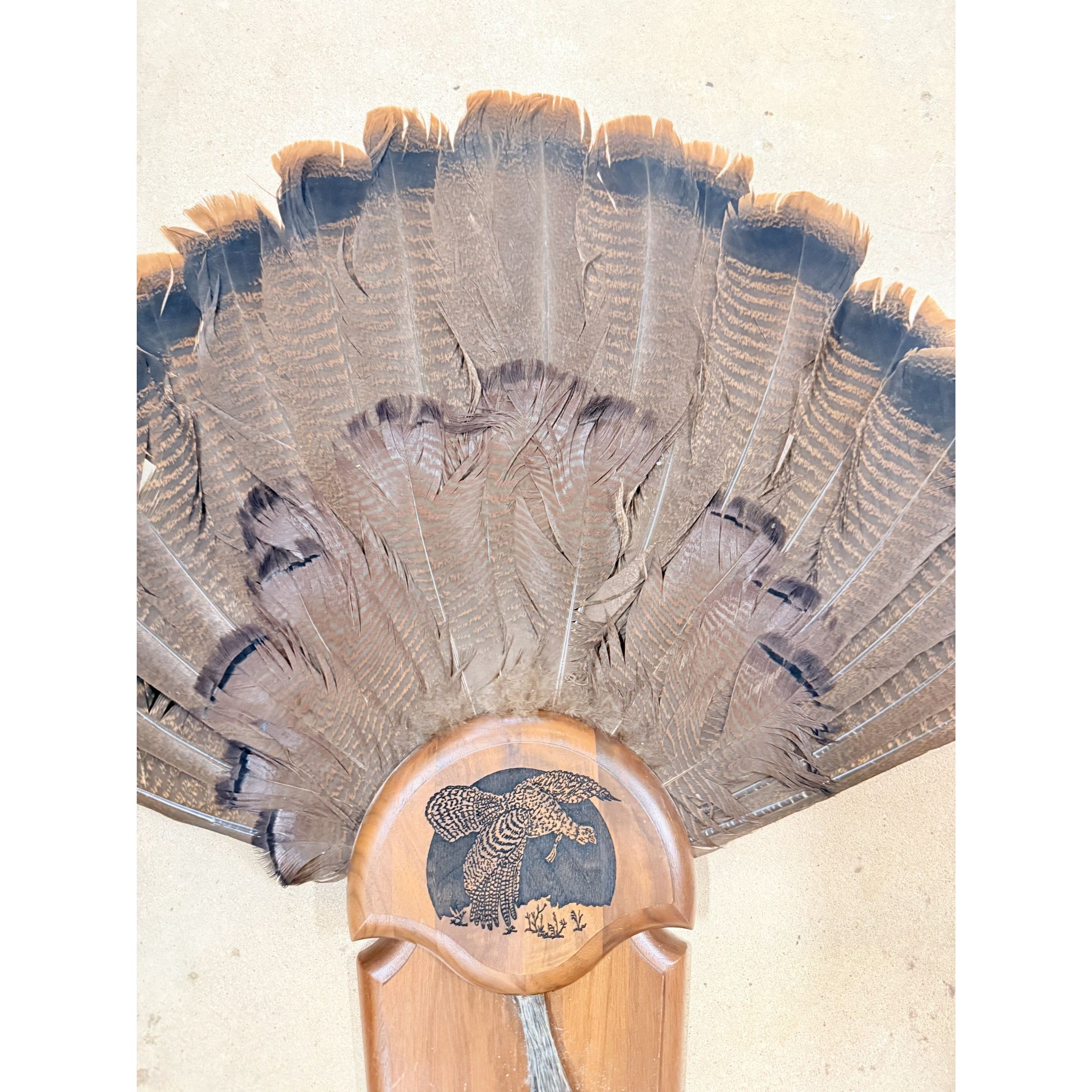Hunting Mount Wild Turkey Hunt Trophy Tail Beard Mount 29” Wood Plaque Panel Taxidermy Trophy Fan Wooden Wall Cabin Man Cave Grandpa Core