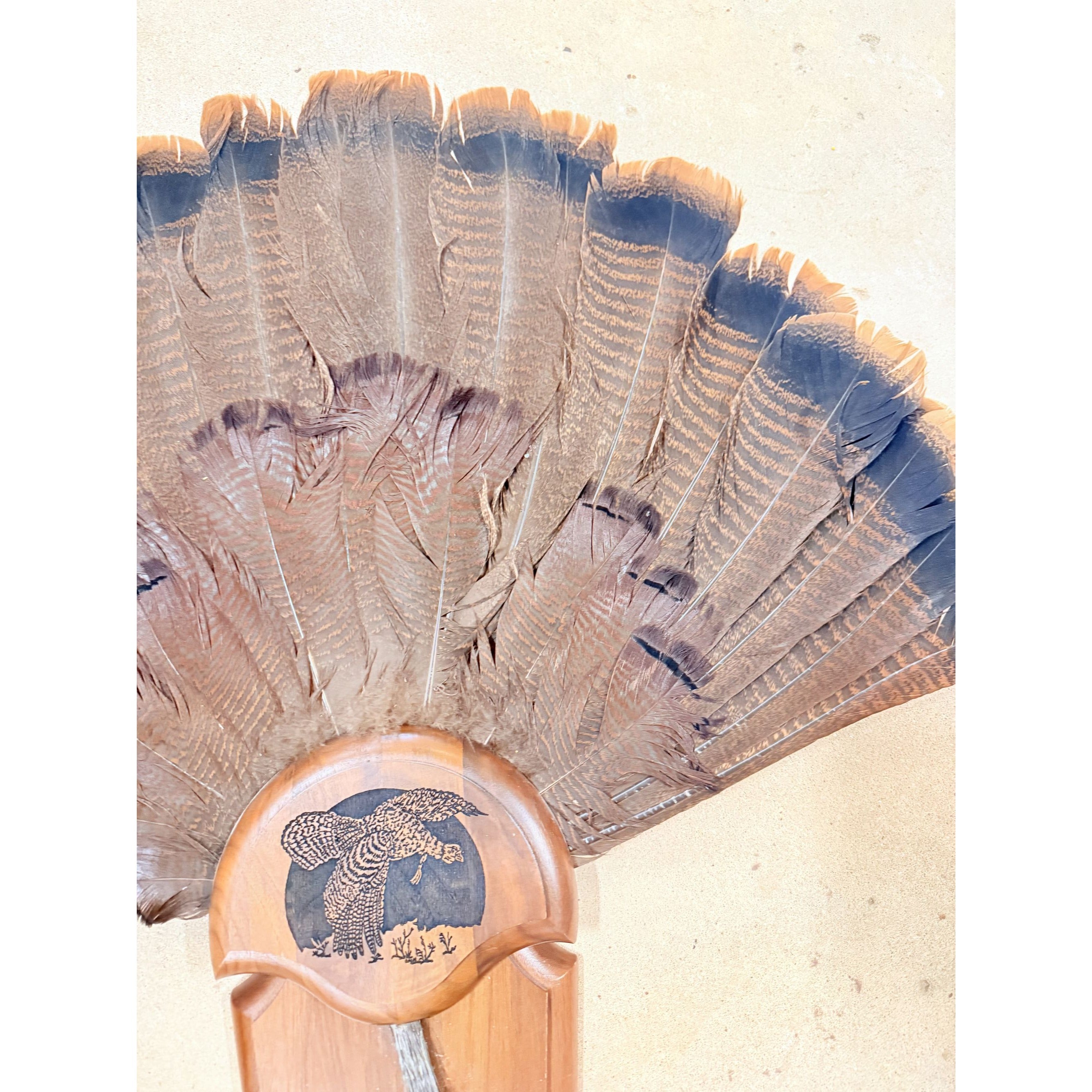 Hunting Mount Wild Turkey Hunt Trophy Tail Beard Mount 29” Wood Plaque Panel Taxidermy Trophy Fan Wooden Wall Cabin Man Cave Grandpa Core