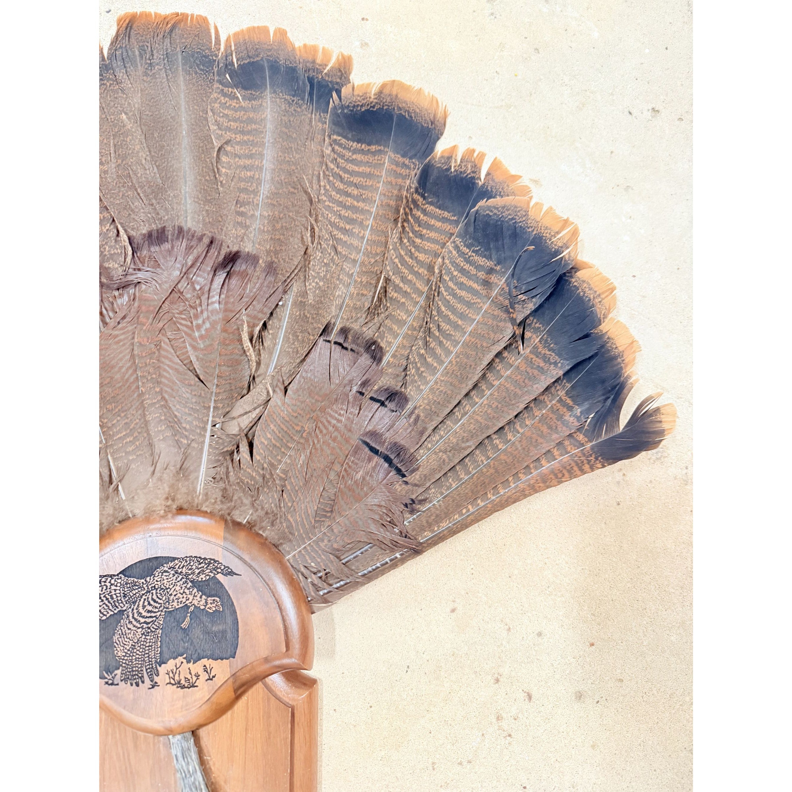 Hunting Mount Wild Turkey Hunt Trophy Tail Beard Mount 29” Wood Plaque Panel Taxidermy Trophy Fan Wooden Wall Cabin Man Cave Grandpa Core