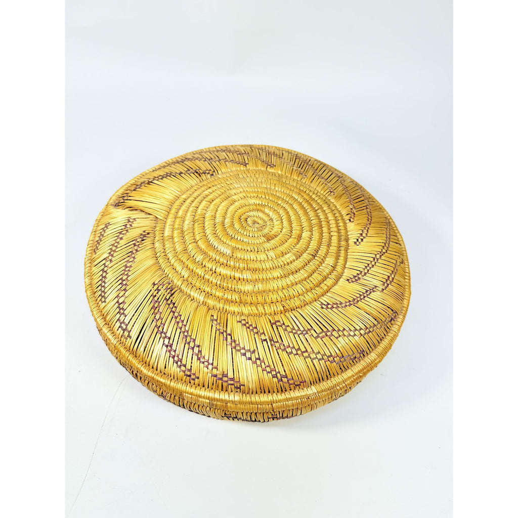 Coil Basket Thick Hand Woven Natural Fibers Dye Colors Lidded Tribal Native Storage Centerpiece Coffee Tabl eBoho Hand Made Home