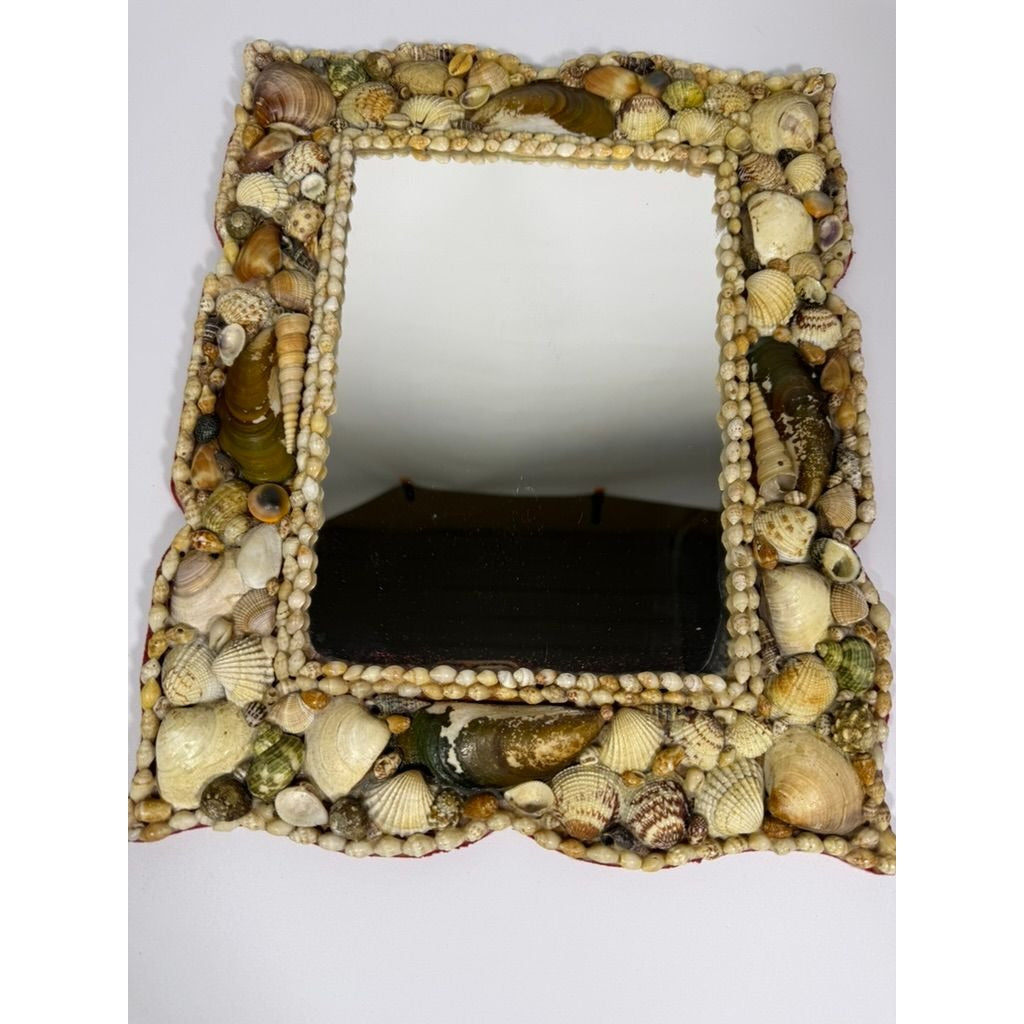 Wall Mirror Shell Encrusted Handmade Velvet Back Coastal Nancy Myers Home Decor Decorative Accents Galley Seashells