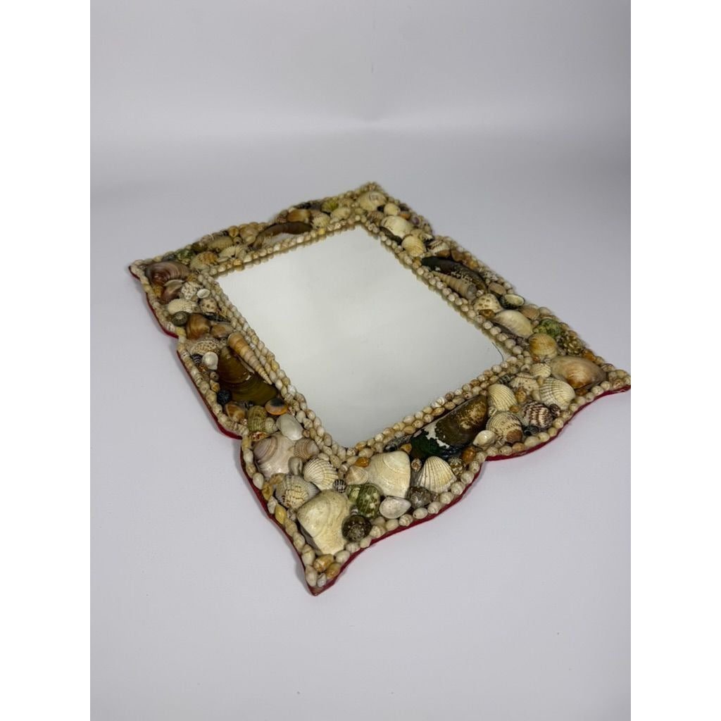 Wall Mirror Shell Encrusted Handmade Velvet Back Coastal Nancy Myers Home Decor Decorative Accents Galley Seashells