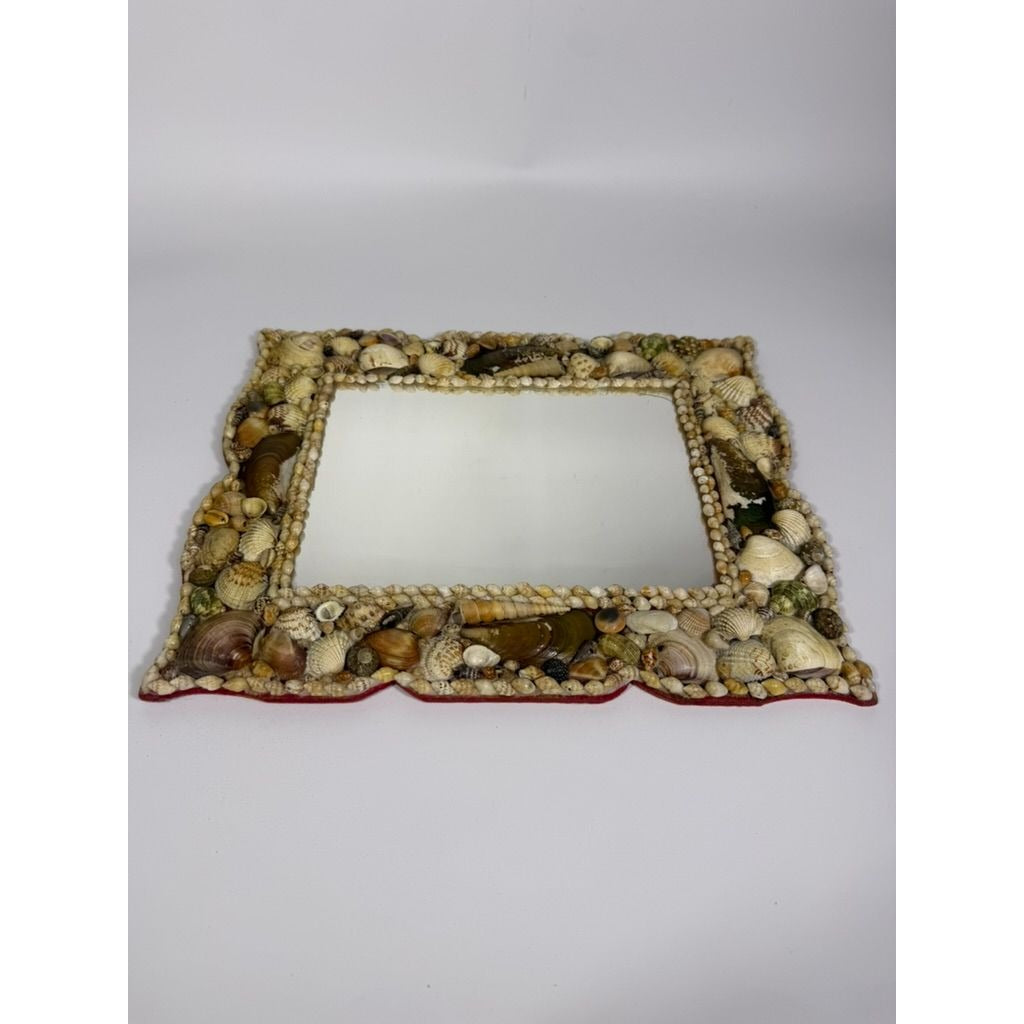 Wall Mirror Shell Encrusted Handmade Velvet Back Coastal Nancy Myers Home Decor Decorative Accents Galley Seashells