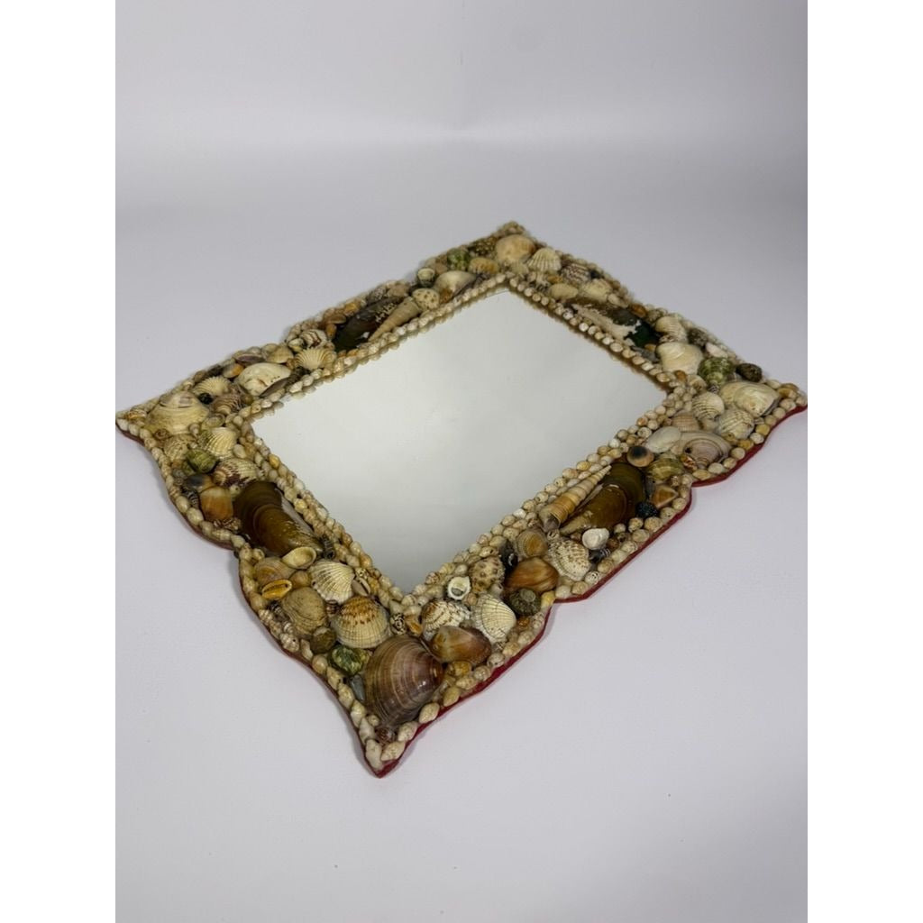 Wall Mirror Shell Encrusted Handmade Velvet Back Coastal Nancy Myers Home Decor Decorative Accents Galley Seashells