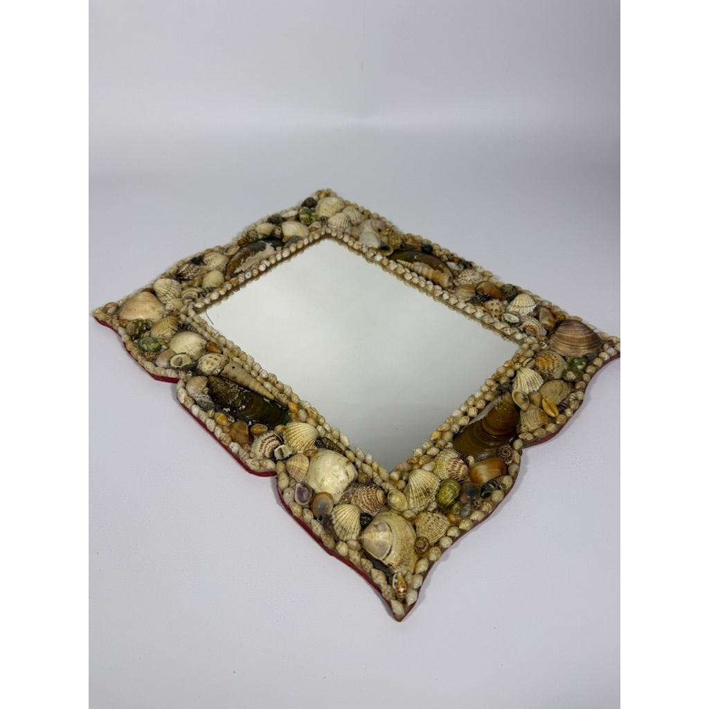 Wall Mirror Shell Encrusted Handmade Velvet Back Coastal Nancy Myers Home Decor Decorative Accents Galley Seashells