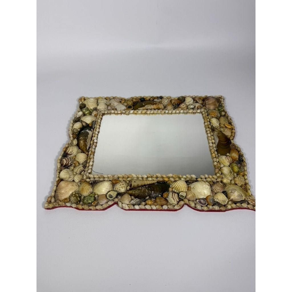 Wall Mirror Shell Encrusted Handmade Velvet Back Coastal Nancy Myers Home Decor Decorative Accents Galley Seashells