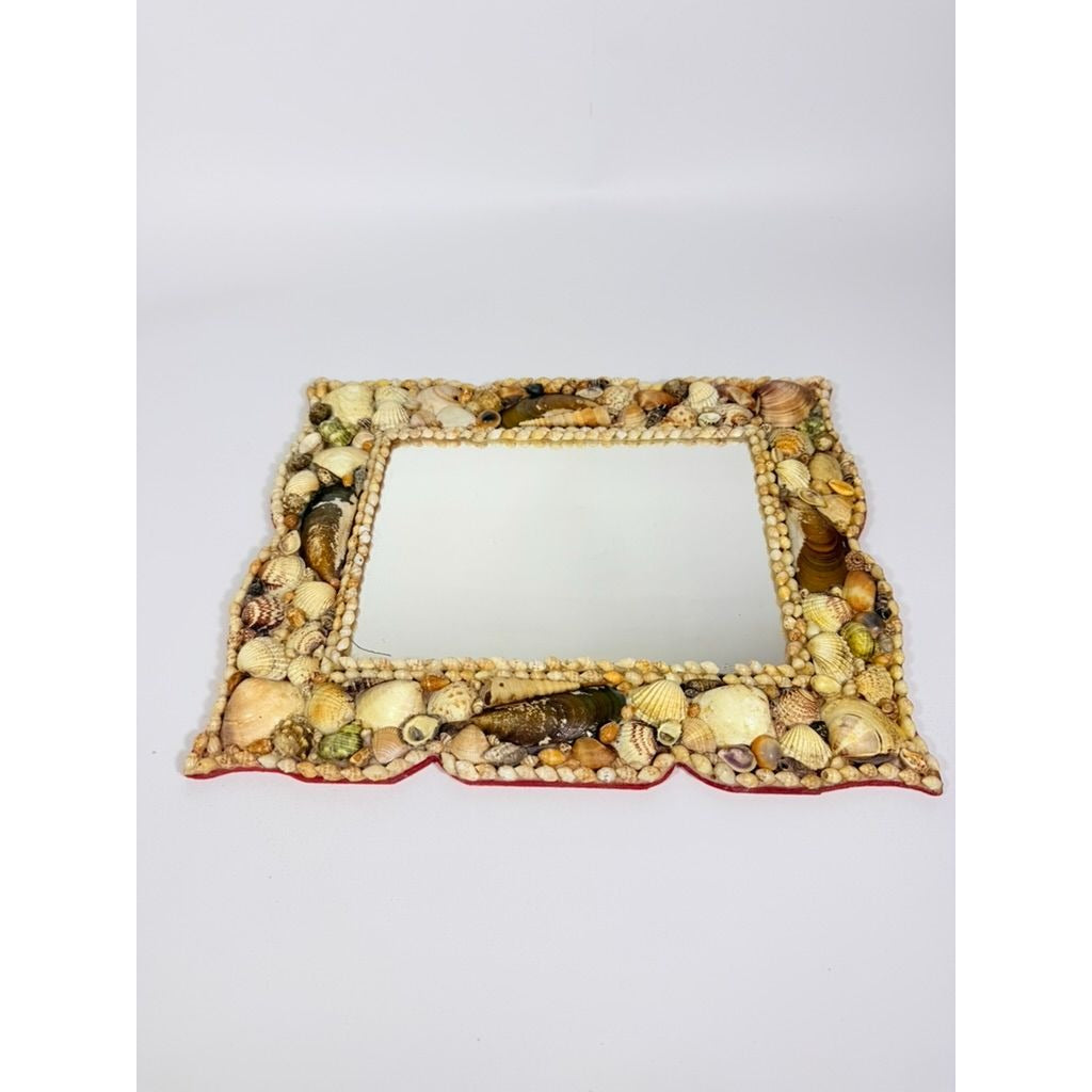 Wall Mirror Shell Encrusted Handmade Velvet Back Coastal Nancy Myers Home Decor Decorative Accents Galley Seashells