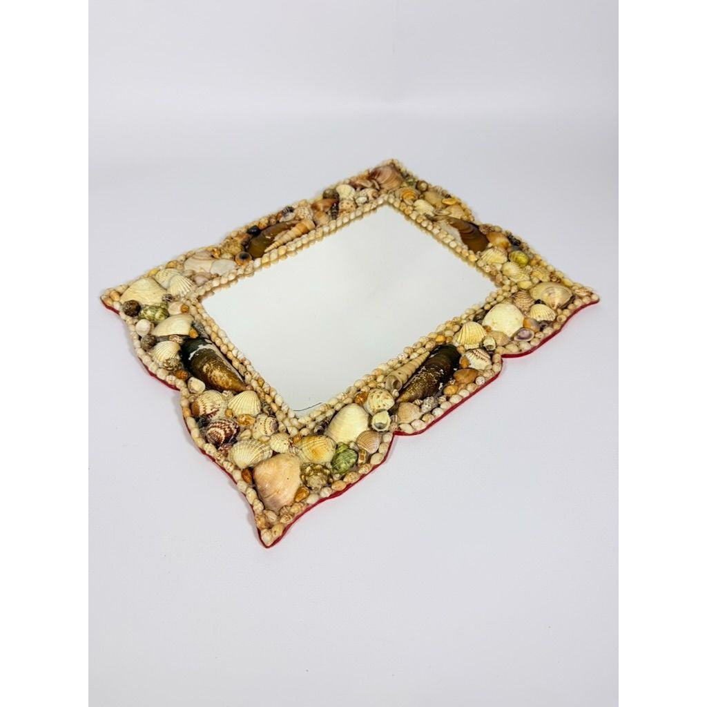 Wall Mirror Shell Encrusted Handmade Velvet Back Coastal Nancy Myers Home Decor Decorative Accents Galley Seashells