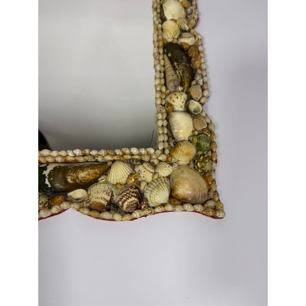 Wall Mirror Shell Encrusted Handmade Velvet Back Coastal Nancy Myers Home Decor Decorative Accents Galley Seashells