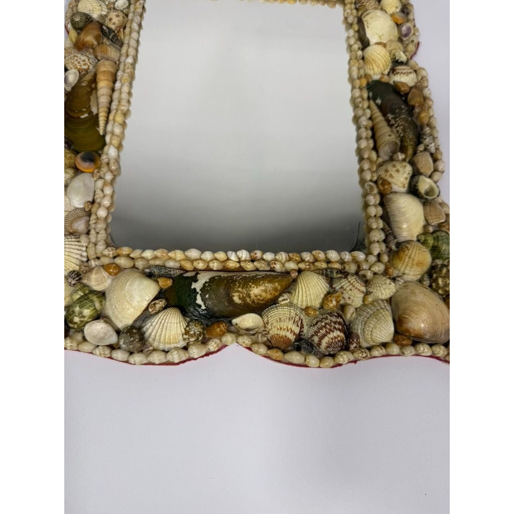 Wall Mirror Shell Encrusted Handmade Velvet Back Coastal Nancy Myers Home Decor Decorative Accents Galley Seashells