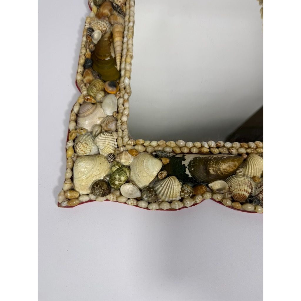 Wall Mirror Shell Encrusted Handmade Velvet Back Coastal Nancy Myers Home Decor Decorative Accents Galley Seashells
