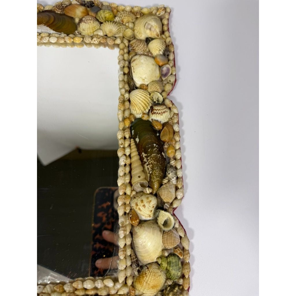 Wall Mirror Shell Encrusted Handmade Velvet Back Coastal Nancy Myers Home Decor Decorative Accents Galley Seashells