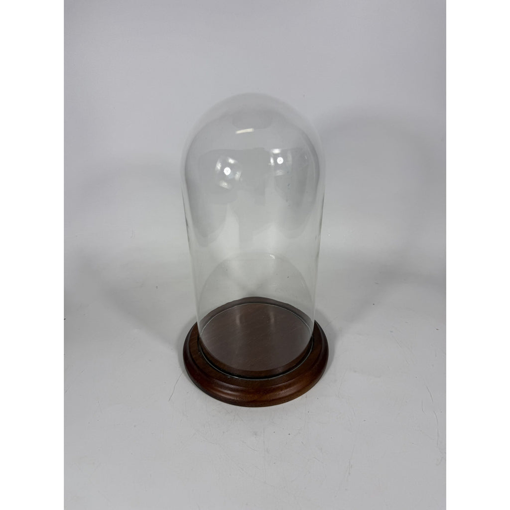Cloche Bell Glass Dome Display Vintage Large Wooden Base Display Figurines Collectables
