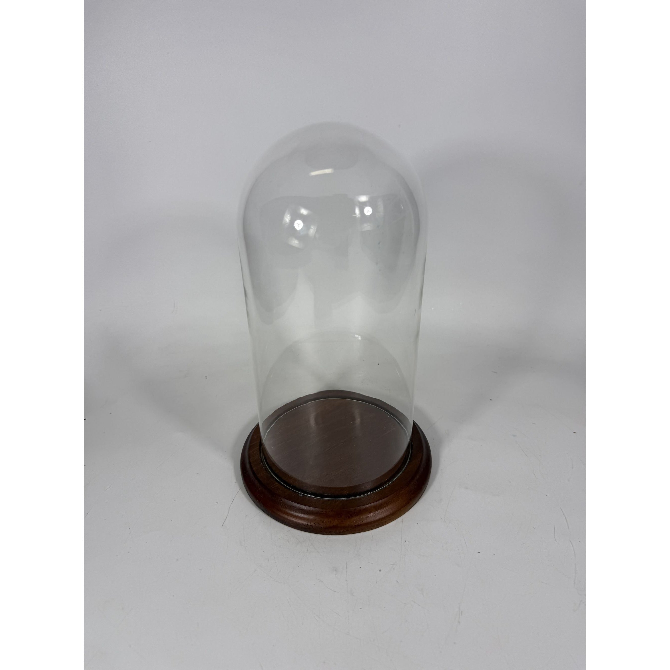 Cloche Bell Glass Dome Display Vintage Large Wooden Base Display Figurines Collectables