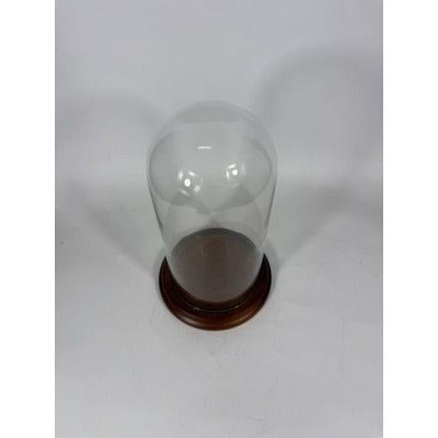 Cloche Bell Glass Dome Display Vintage Large Wooden Base Display Figurines Collectables