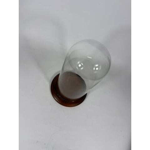 Cloche Bell Glass Dome Display Vintage Large Wooden Base Display Figurines Collectables