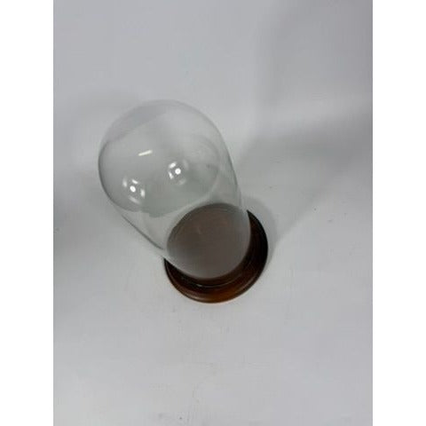 Cloche Bell Glass Dome Display Vintage Large Wooden Base Display Figurines Collectables