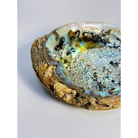 Trinket Coffee Table Dish Abalone Shell Dish Vintage Natural Extra Large Iridescence Barncacles  Jewelry Coastal Grandma Beach Cottage