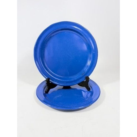Enamel Plates Set 2 Blue Spatter Graniteware Camping Replacement Vintage Farmhouse Primitive