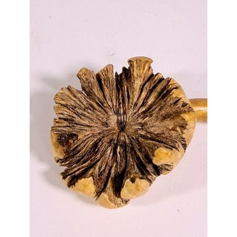 Wooden Sculpture Hand Carved Burwood Mushroom Turtle Burlwood Folk Art Figurine Vintage Collectible Gift