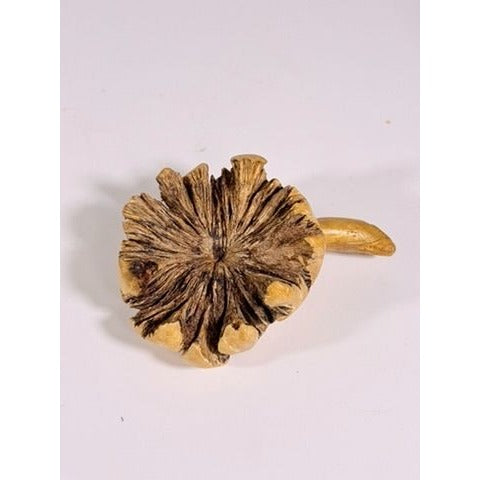 Wooden Sculpture Hand Carved Burwood Mushroom Turtle Burlwood Folk Art Figurine Vintage Collectible Gift