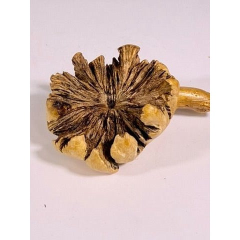 Wooden Sculpture Hand Carved Burwood Mushroom Turtle Burlwood Folk Art Figurine Vintage Collectible Gift