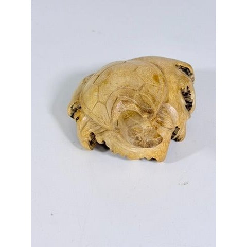 Wooden Sculpture Hand Carved Burwood Mushroom Turtle Burlwood Folk Art Figurine Vintage Collectible Gift